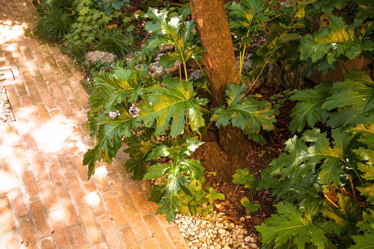 ボローニャUrban Jungleアパートメント エクステリア 写真